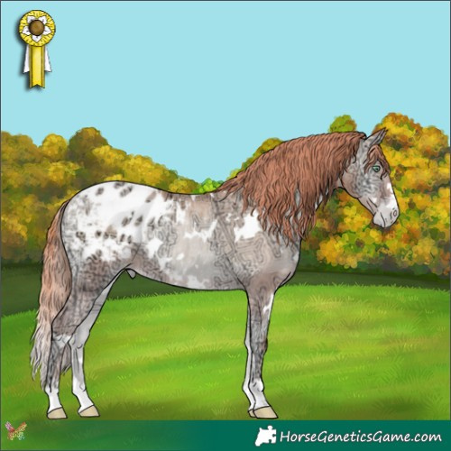 Horse Color:White Spotted Sable Champagne Ice Pearl Onyx Appaloosa Rabicano 