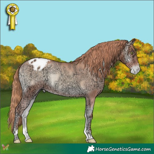 Horse Color:Gold Champagne Ice Onyx Appaloosa Rabicano 