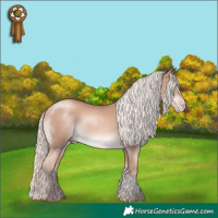 Horse Color:Gold Champagne Mushroom Tobiano 