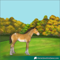 Horse Color:Amber Cream Champagne Mushroom Tobiano 