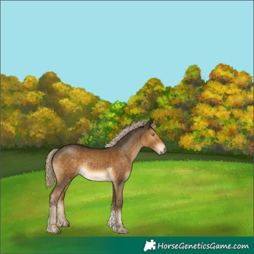 Horse Color:Chocolate Palomino Mushroom Tobiano