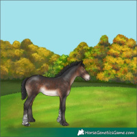 Horse Color:Bay Mushroom Tobiano 