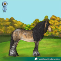 Horse Color:Buckskin Mushroom Tobiano 