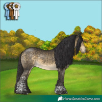 Horse Color:Buckskin Mushroom Tobiano 