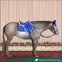 Horse Color:Gray Classic Cream Champagne