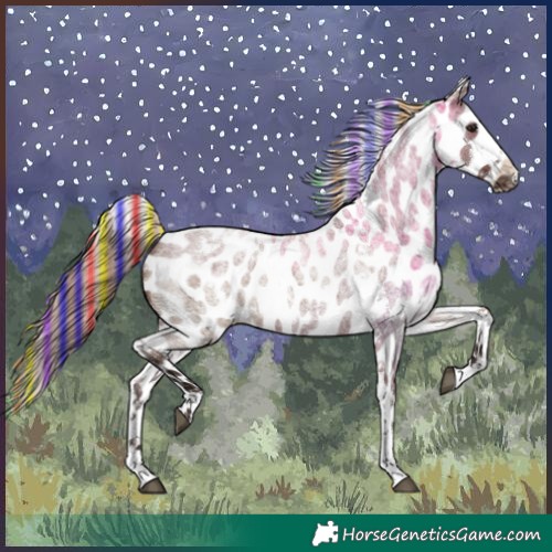 Horse Color:Painted White Spotted Liver Red Dun Roan Appaloosa 