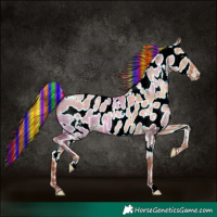 Horse Color:Painted White Spotted Gold Champagne Dun Near Leopard 