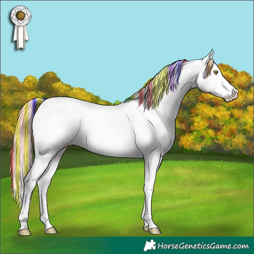 Horse Color:Painted White Spotted Gold Champagne Dun Splash Appaloosa Rabicano 