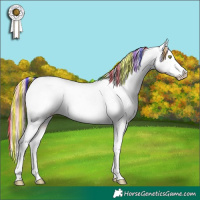 Horse Color:Painted White Spotted Gold Champagne Dun Splash Appaloosa Rabicano 