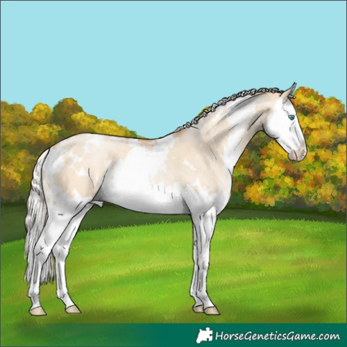 Horse Color:White Spotted Silver Smoky Grullo Pearl Splash 