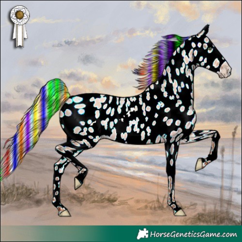 Horse Color:Painted White Spotted Silver Amber Champagne Dun Leopard Rabicano 