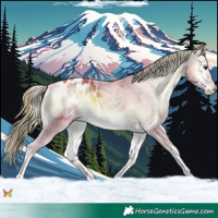 Horse Color:Platinum Watercolor Liver Red Onyx Sabino Tobiano Blanket 