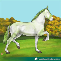Horse Color:Watercolor White Spotted Liver Red Onyx Varnish 