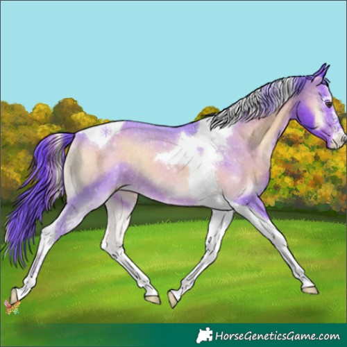 Horse Color:Watercolor Liver Red Onyx Sabino Tobiano Appaloosa 