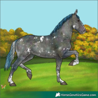 Horse Color:Watercolor White Spotted Midnight Bay Onyx Sabino Appaloosa Rabicano 