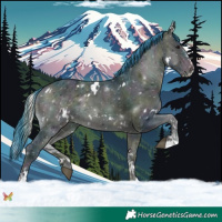 Horse Color:Watercolor White Spotted Midnight Bay Onyx Sabino Varnish Rabicano 
