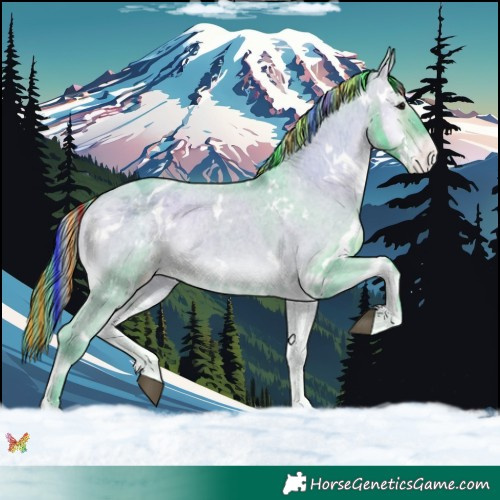 Horse Color:Painted Watercolor White Spotted Brown Roan Onyx Appaloosa 