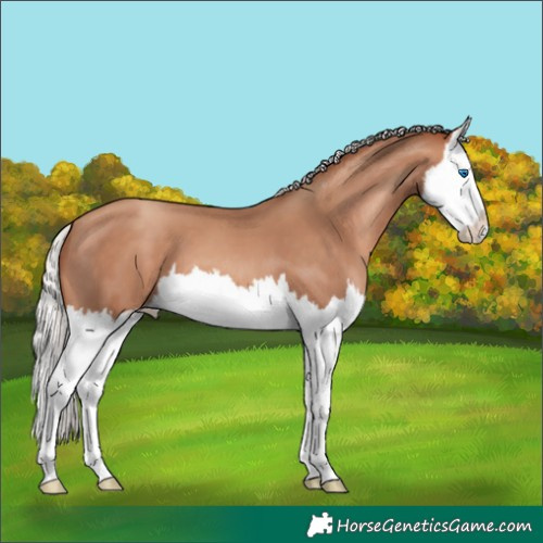 Horse Color:Silver Sable Champagne Splash 
