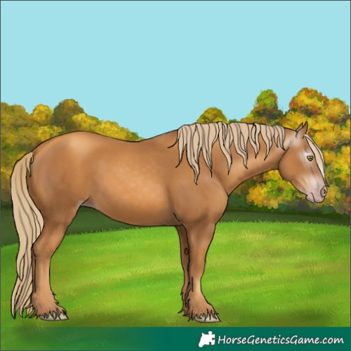 Horse Color:Gray Gold Champagne 