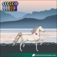 Horse Color:Perlino 