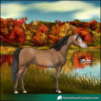 Horse Color:Gray Amber Champagne 