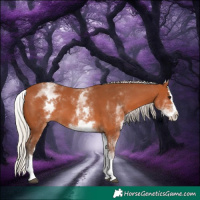 Horse Color:White Spotted Silver Bay Splash 