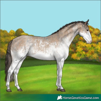 Horse Color:White Spotted Blue Roan Rabicano and White Spotted Classic Champagne Roan Rabicano