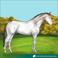 Horse Color:White Spotted Amber Champagne Tobiano Rabicano 