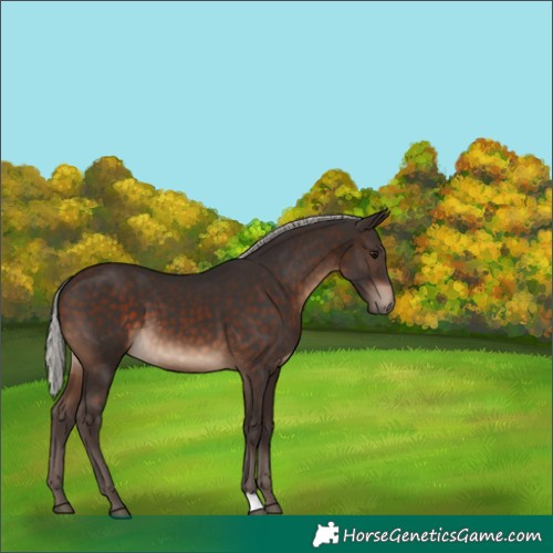 Horse Color:Silver Brown 