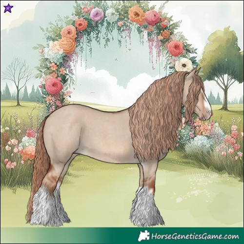 Horse Color:Red Dun Roan Splash Frame Rabicano 