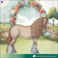 Horse Color:Red Dun Roan Splash Frame Rabicano 