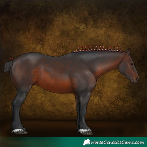 Horse Color:Brown 