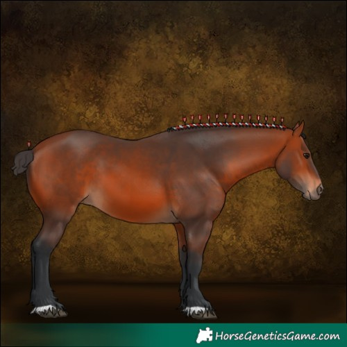 Horse Color:Brown 