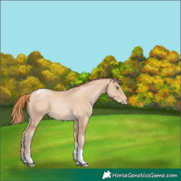 Horse Color:Smoky Black Pearl Tobiano