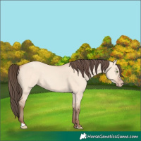 Horse Color:Amber Champagne Dun