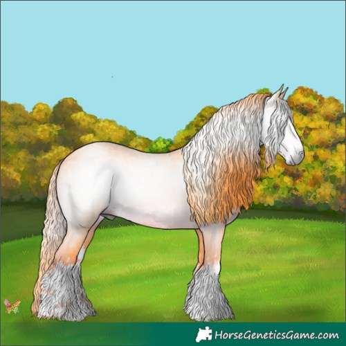 Horse Color:Gray Watercolor White Spotted Red Roan 