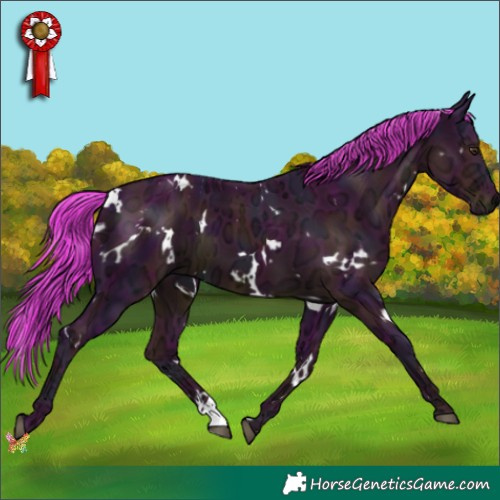 Horse Color:Watercolor White Spotted Midnight Liver Chestnut Ice 