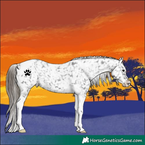 Horse Color:Smoky Black Tobiano Snowflake Varnish