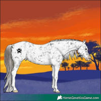Horse Color:Smoky Black Tobiano Snowflake Varnish