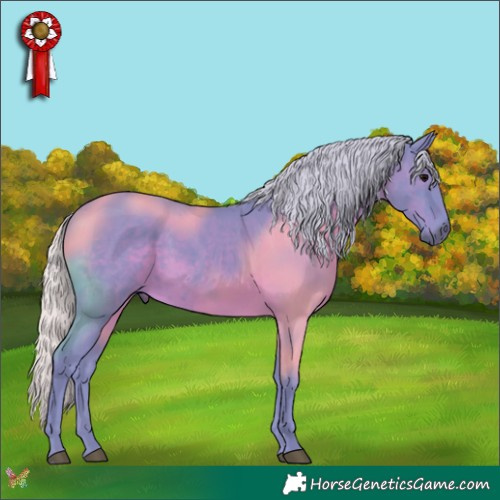 Horse Color:Watercolor Silver Black 