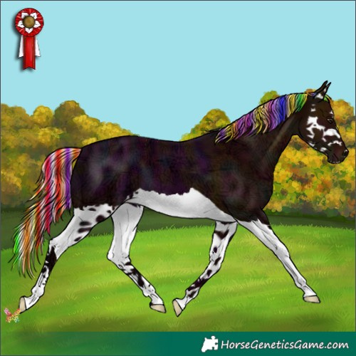 Horse Color:Painted Midnight Silver Bay Ice Splash 