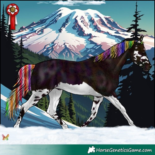 Horse Color:Painted Midnight Silver Bay Ice Splash 