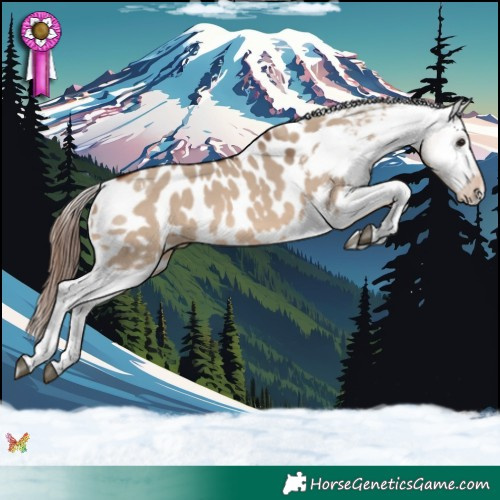 Horse Color:Bay Dun Sabino Tobiano Near Leopard 