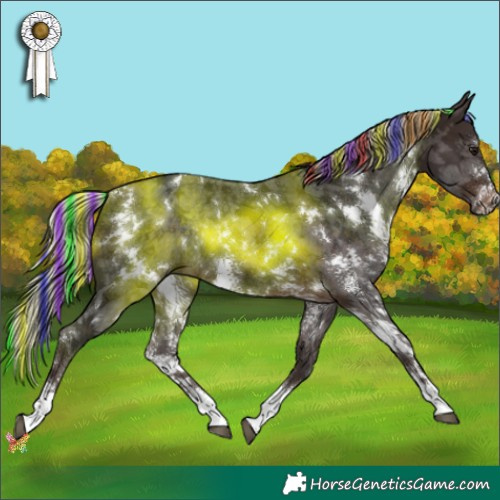 Horse Color:Painted White Spotted Silver Brown Sabino Rabicano 