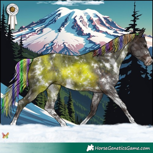 Horse Color:Painted White Spotted Silver Brown Sabino Rabicano 