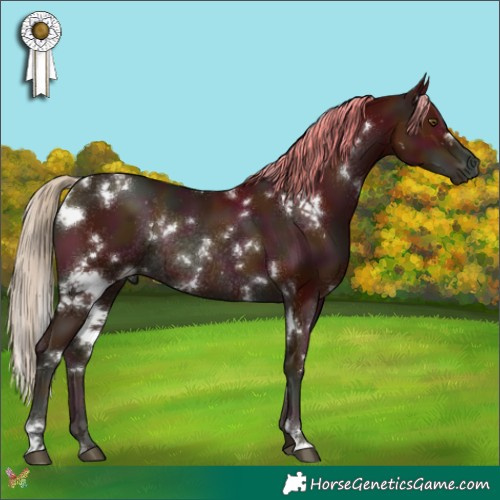 Horse Color:White Spotted Midnight Liver Chestnut Pearl Rabicano 