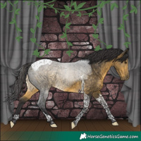 Horse Color:Buckskin Tobiano 