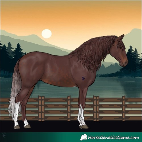 Horse Color:Chocolate Brown Tobiano 