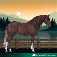 Horse Color:Chocolate Brown Tobiano