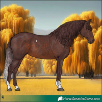 Horse Color:Chocolate Brown Tobiano 